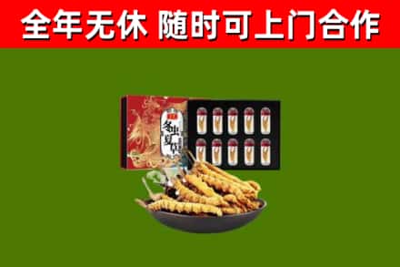 丰泽区回收冬虫夏草价格