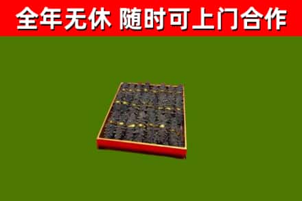 丰泽区回收海参